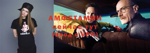 сатива Лихославль