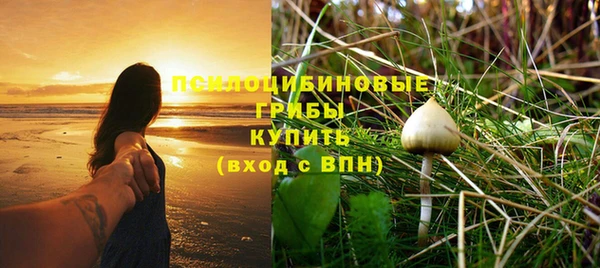 синтетический гашиш Арсеньев