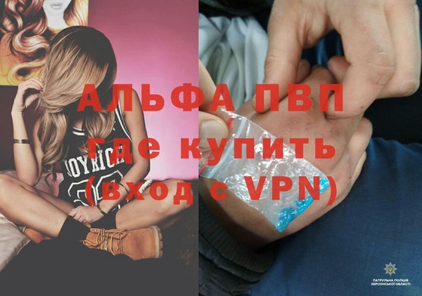 сатива Лихославль