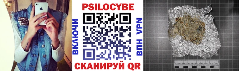 kraken онион  Рузаевка  Псилоцибиновые грибы Psilocybe  что такое  